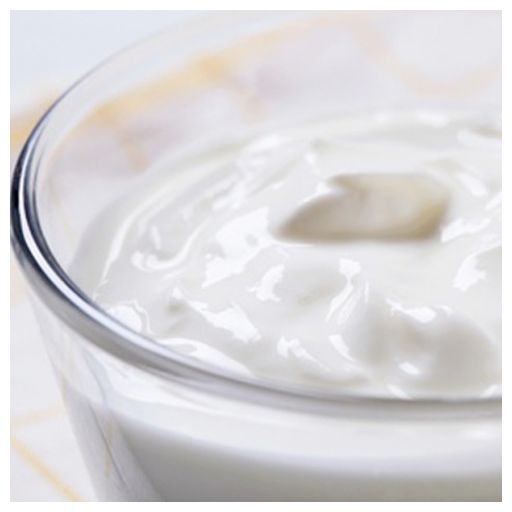 Joghurt Tejfagylaltpor  2,04 kg/cs