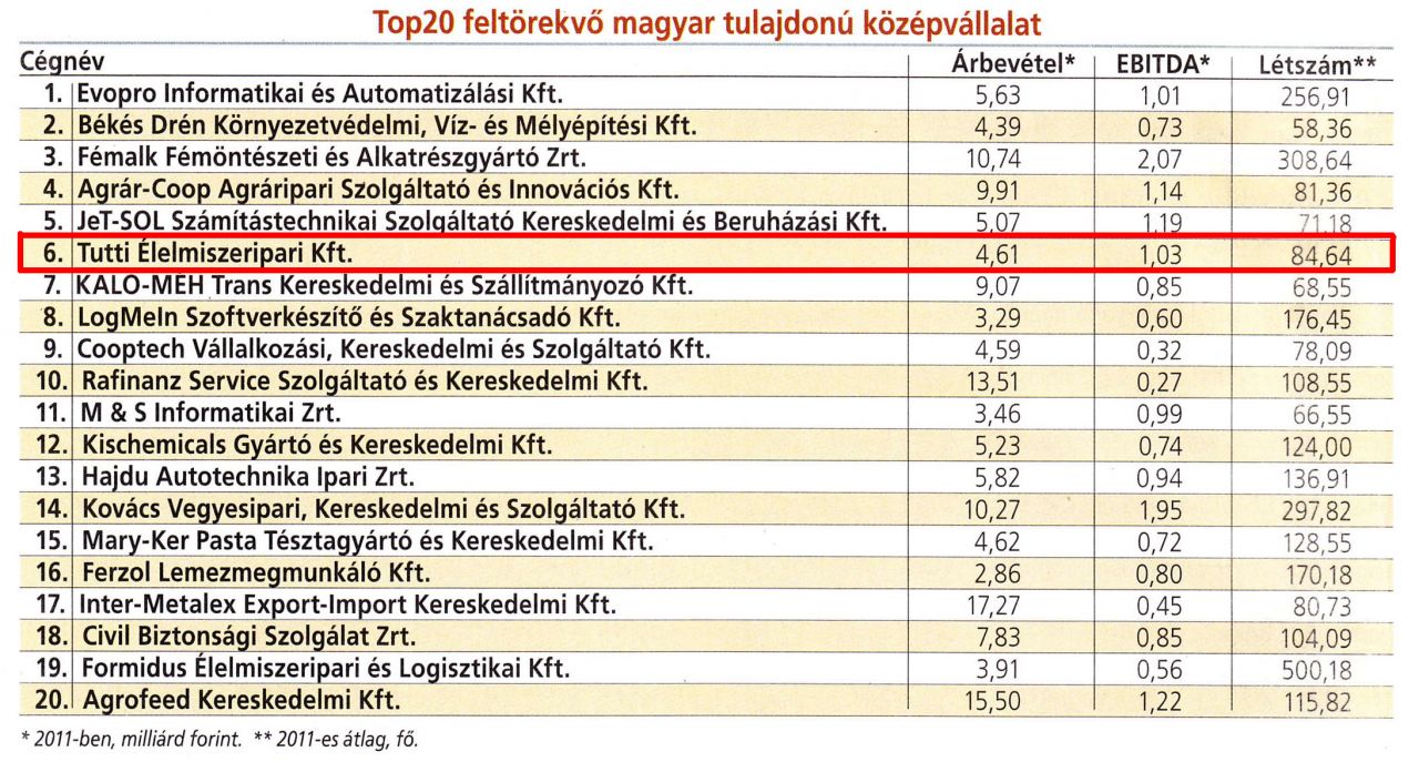 Top20 feltörekvő magyar tulajdonú középvállalat